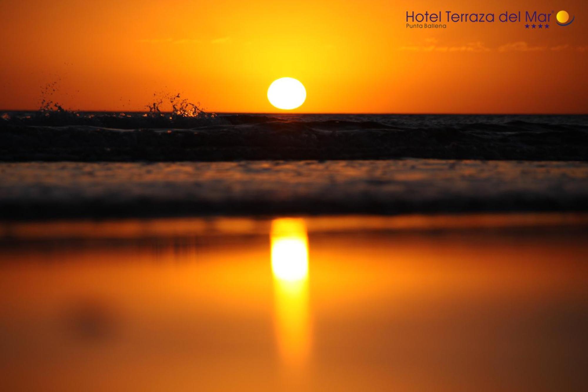 Hotel Terraza Del Mar بونتا بالينا المظهر الخارجي الصورة